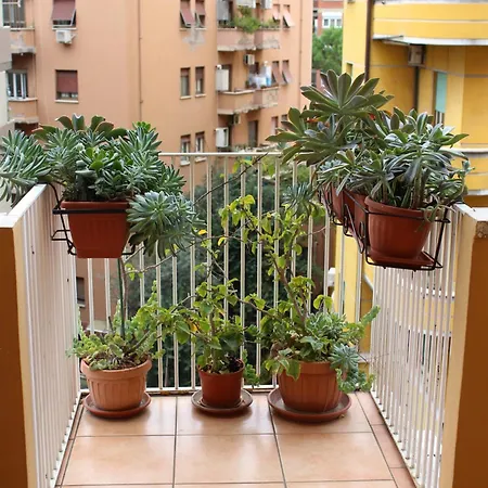 Arianna Nocleg ze śniadaniem