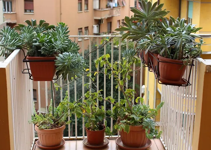 Arianna Bed and Breakfast